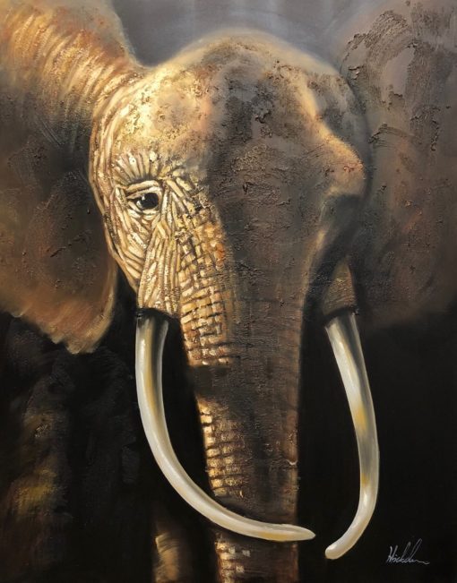 Elephant - Afbeelding 2
