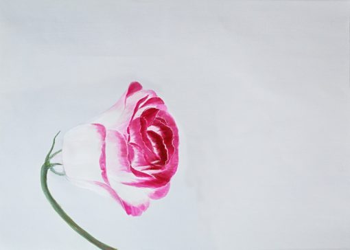Flower - Afbeelding 2