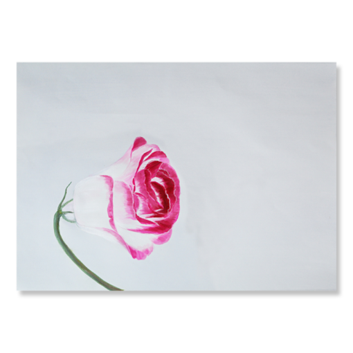 Een aquarel met een bloem
