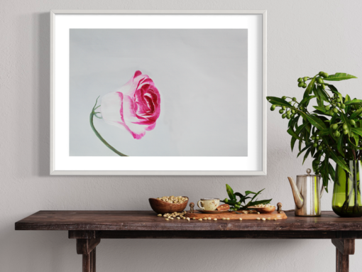 Een aquarel met een bloem