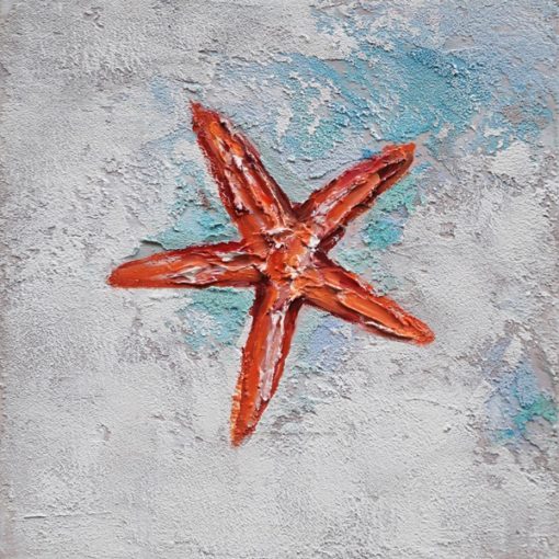 SeaStar - Afbeelding 2