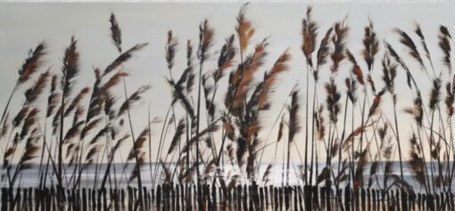BeachGrass - Afbeelding 2