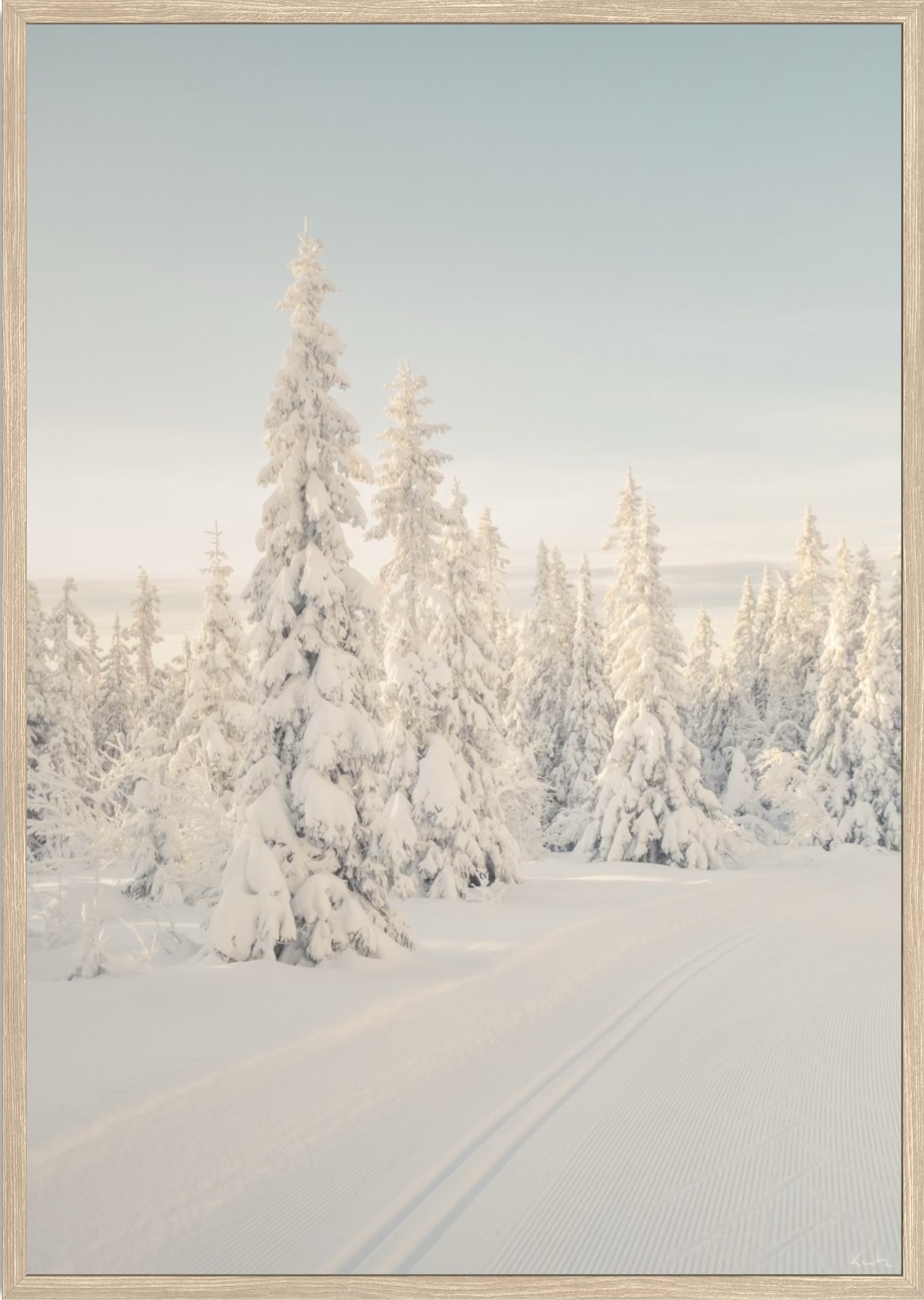 WoW 2420 02 - Afbeelding 2