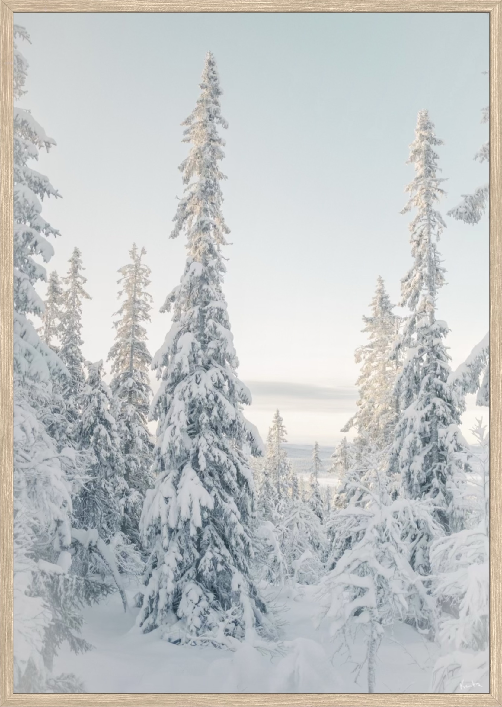 WoW 2420 03 - Afbeelding 2