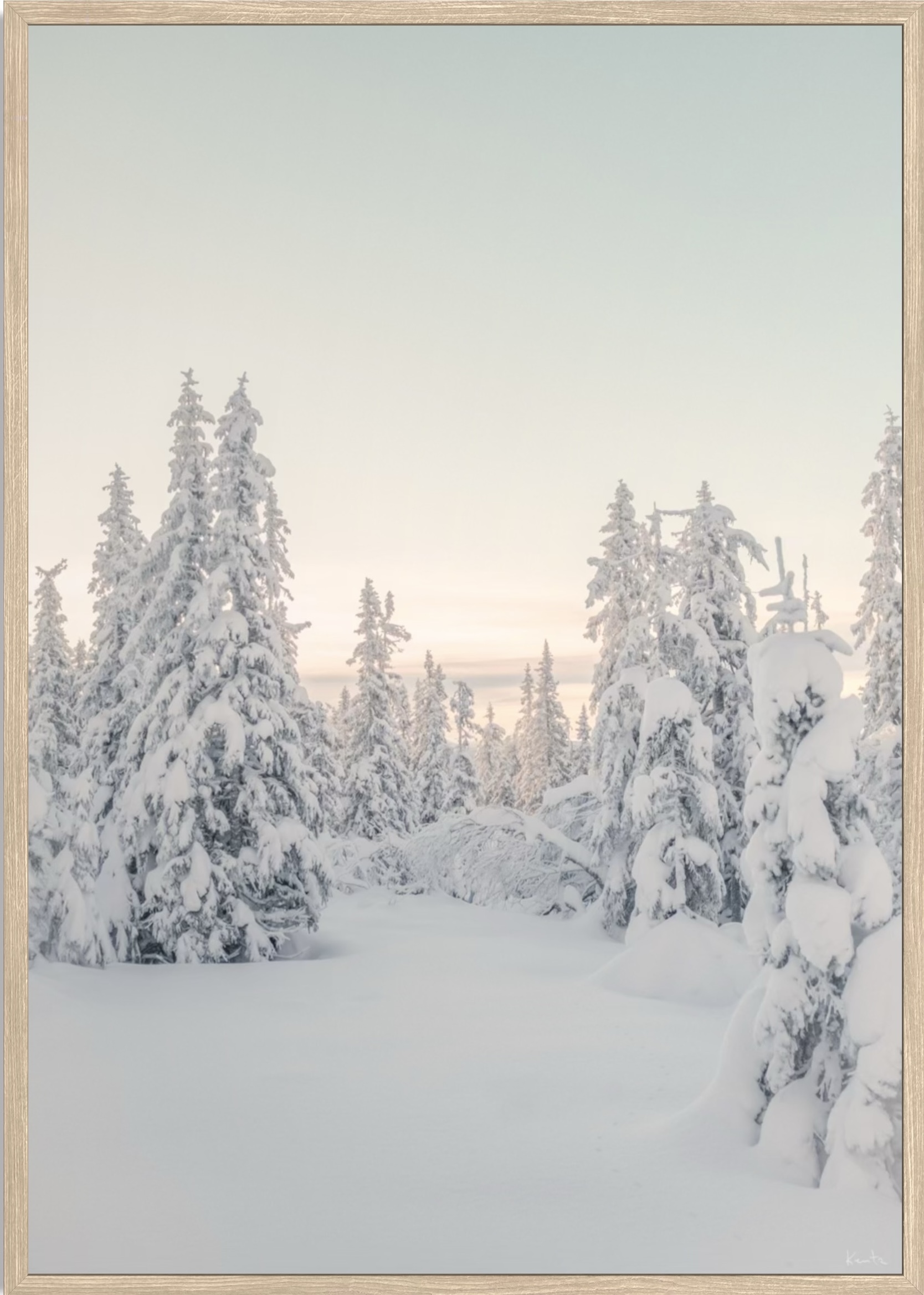 WoW 2420 04 - Afbeelding 2