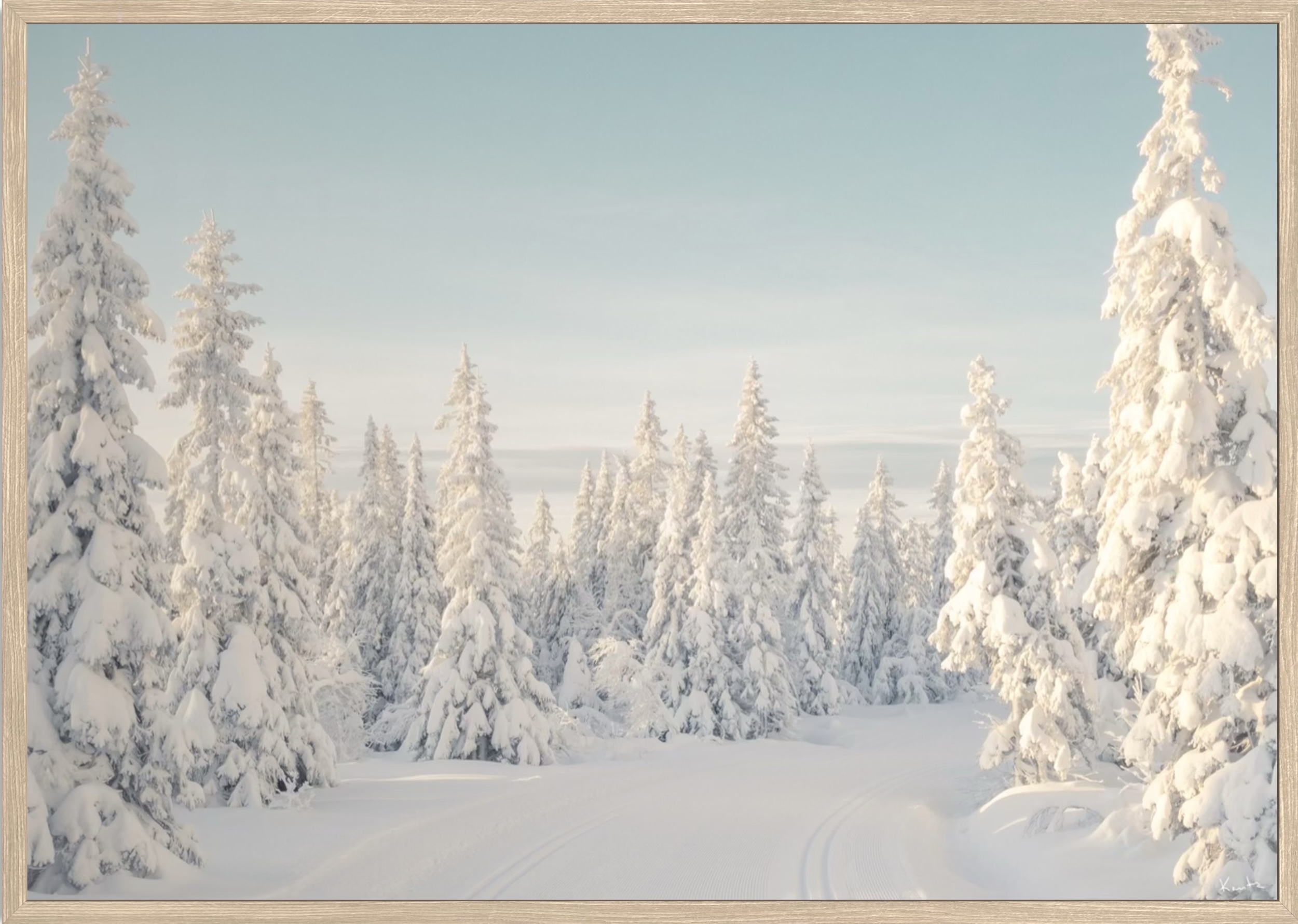 WoW 2420 05 - Afbeelding 2