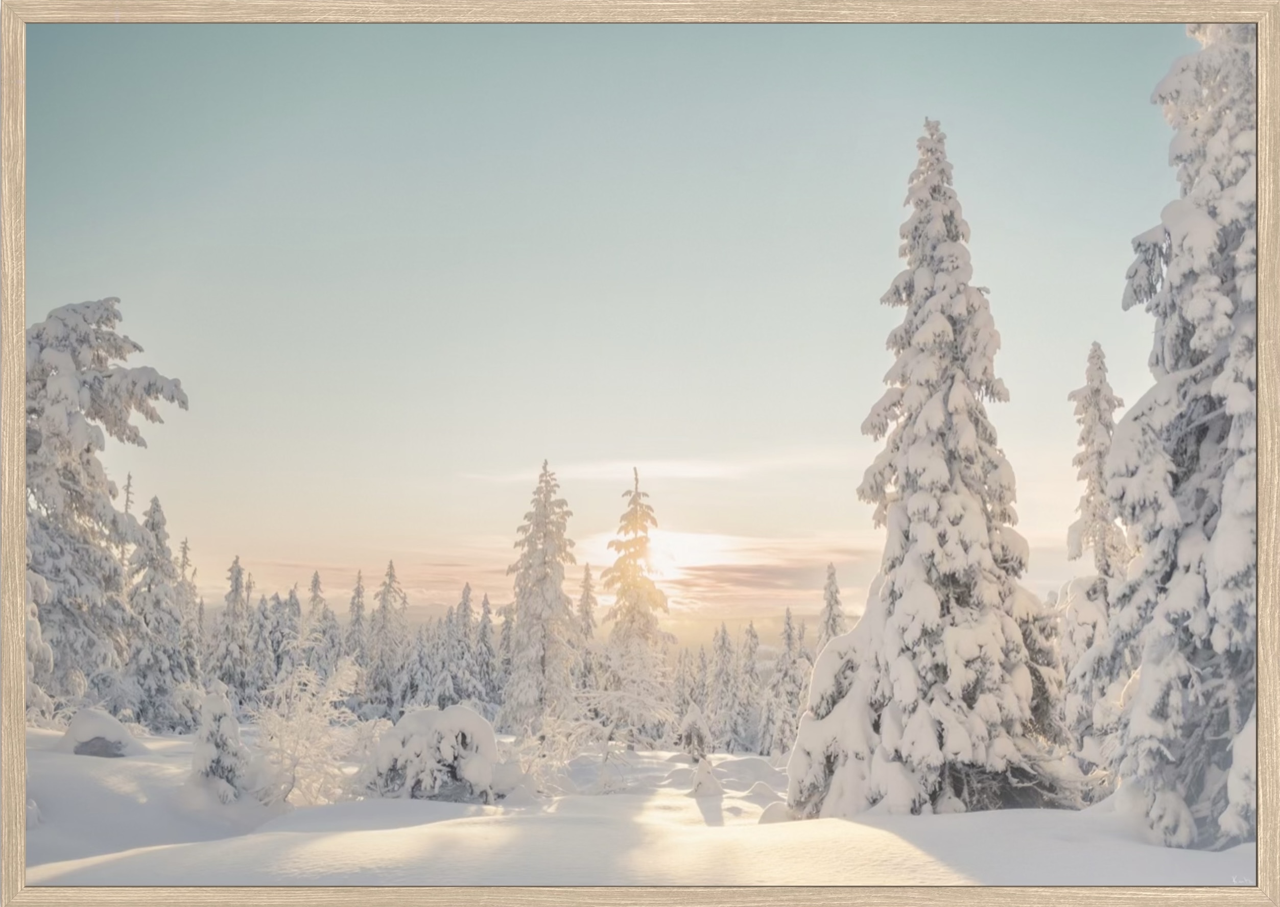 WoW 2420 06 - Afbeelding 2