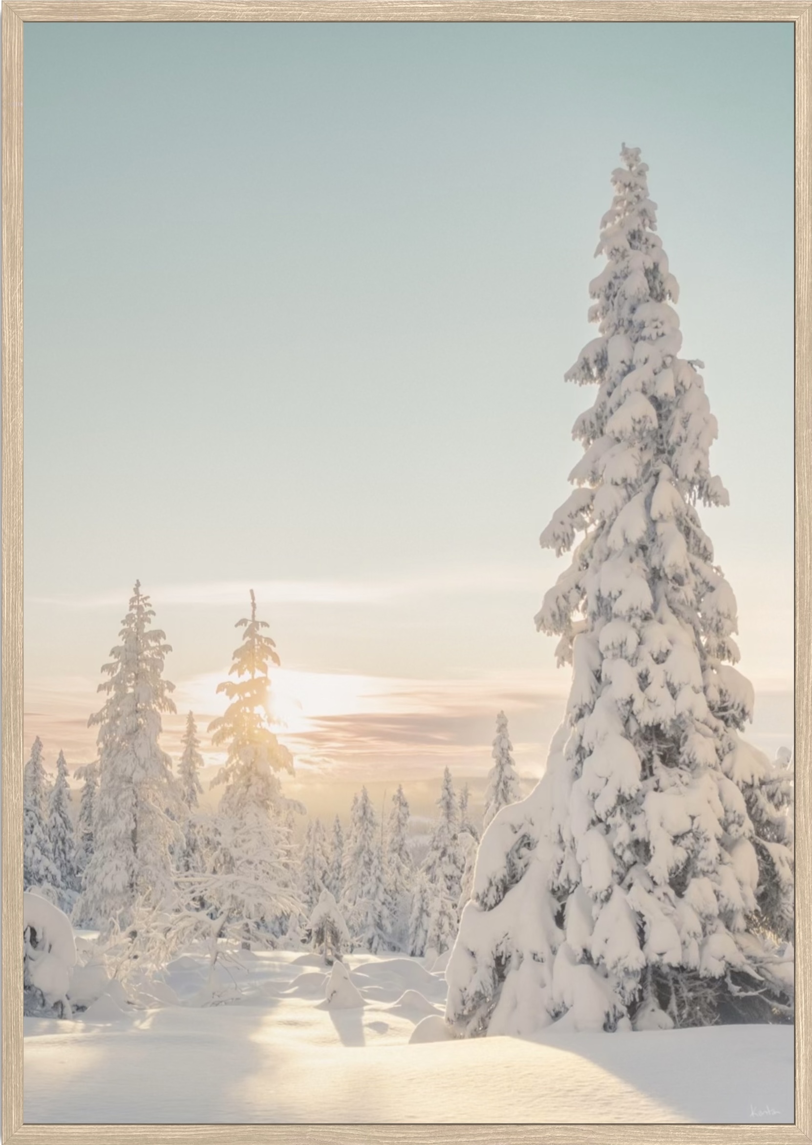 WoW 2420 07 - Afbeelding 2