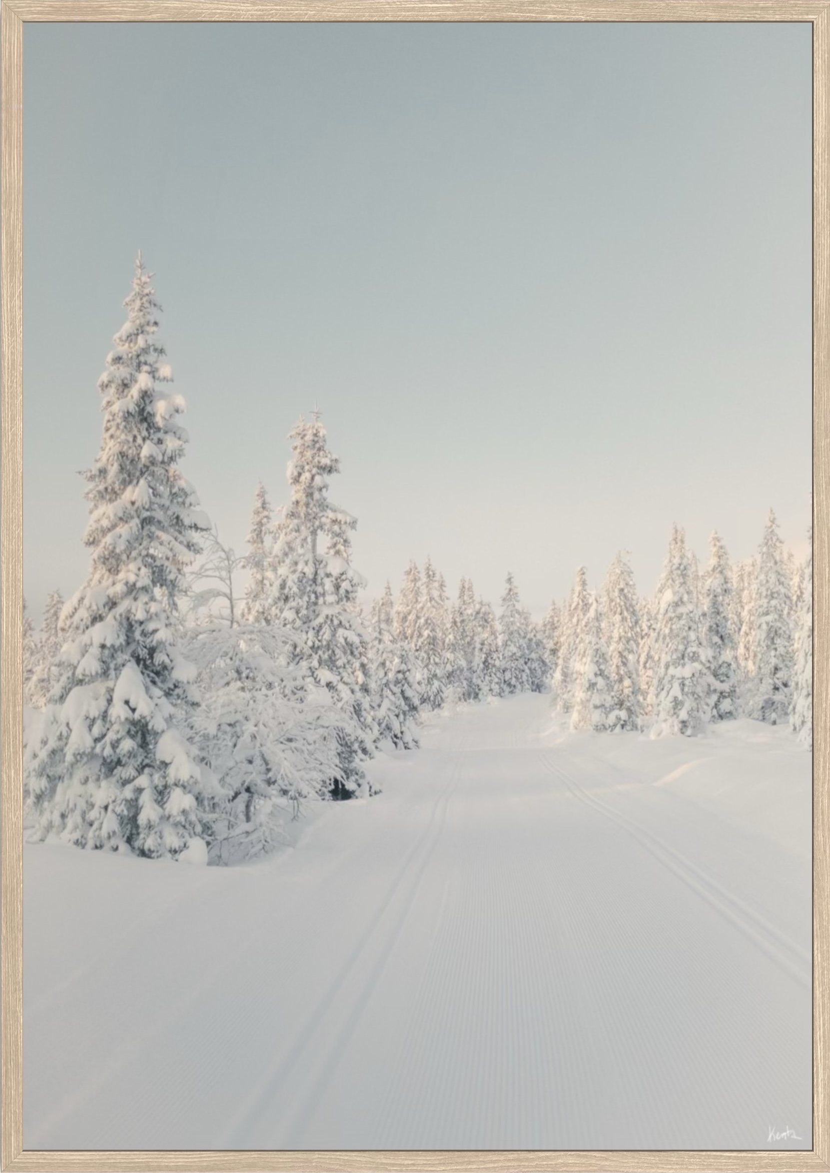 WoW 2420 08 - Afbeelding 2