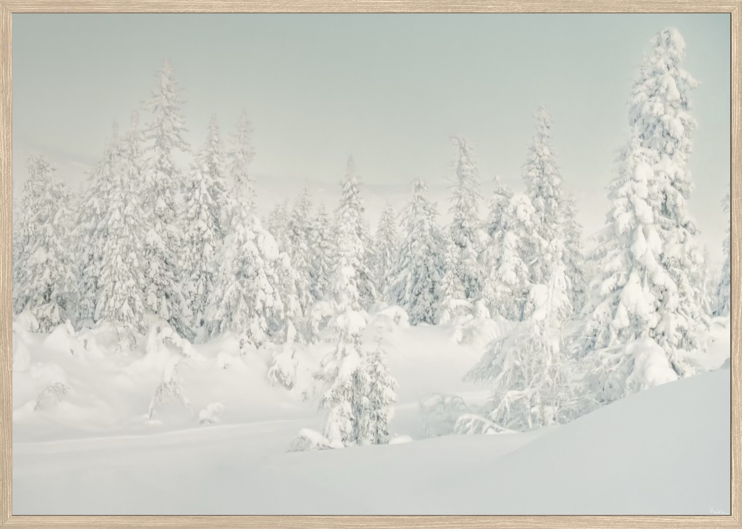 WoW 2420 10 - Afbeelding 2